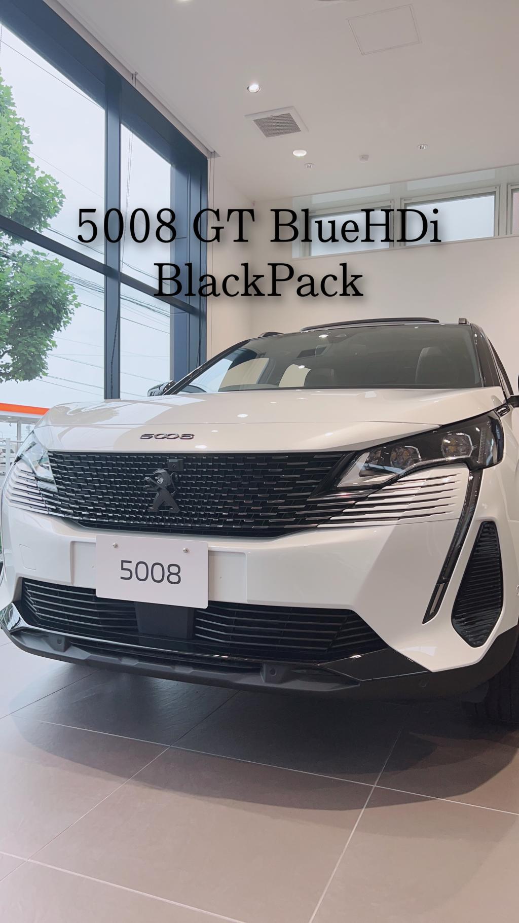 °˖✧5008 GT BlueHDi Black Pack✧˖°