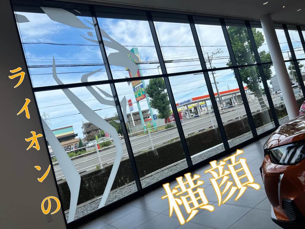 °˖✧ライオンの横顔✧˖°