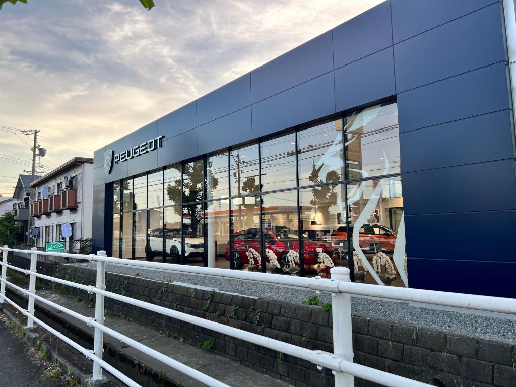 °˖✧ライオンの横顔✧˖°