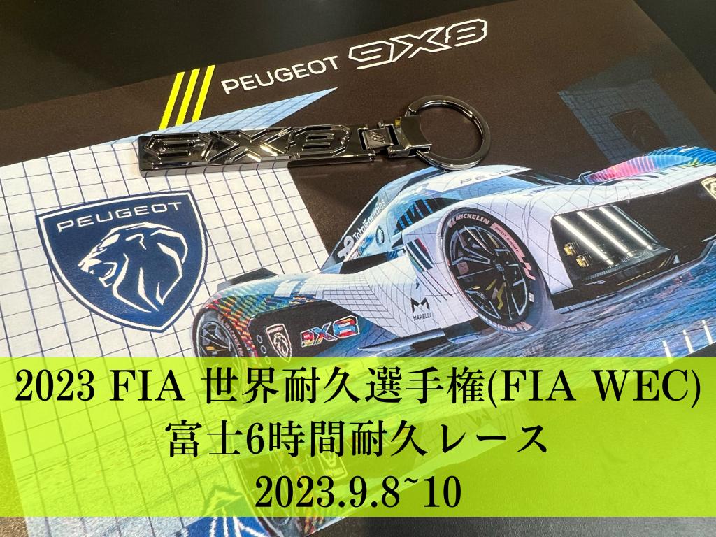 °˖✧FIA世界耐久選手権✧˖°