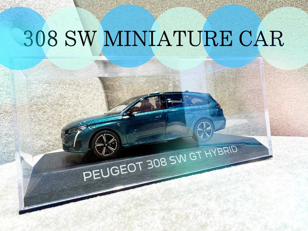 °˖✧308 SW MINIATURE CAR✧˖°