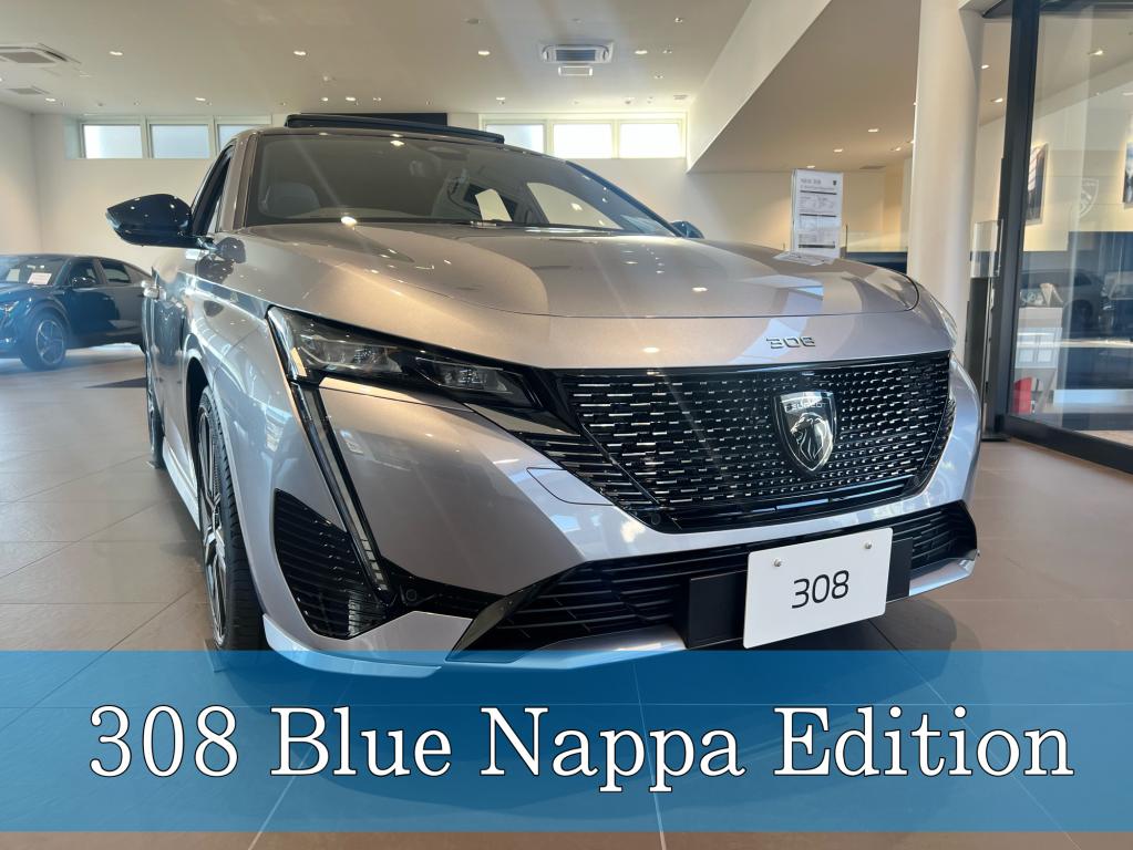 °˖✧308 Blue Nappa Edition✧˖°