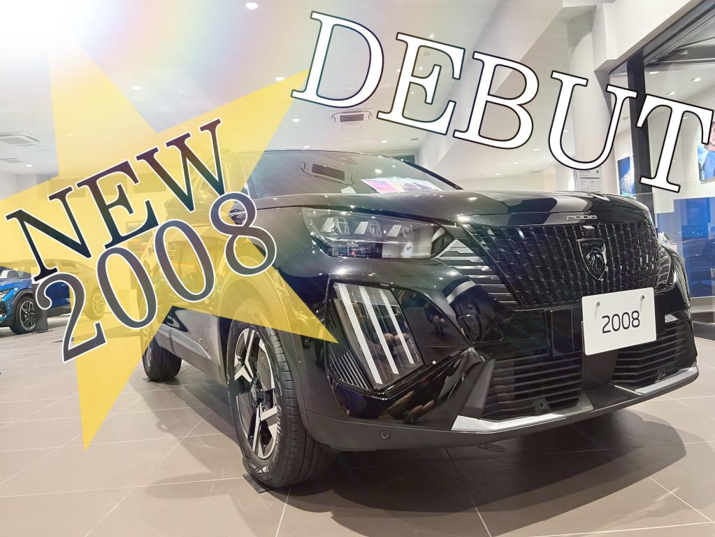 °˖✧NEW2008 DEBUT✧˖°