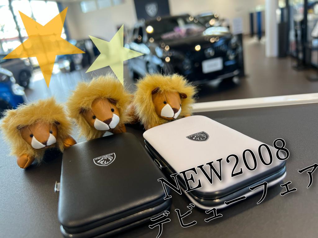 °˖✧NEW2008 デビューフェア✧˖°