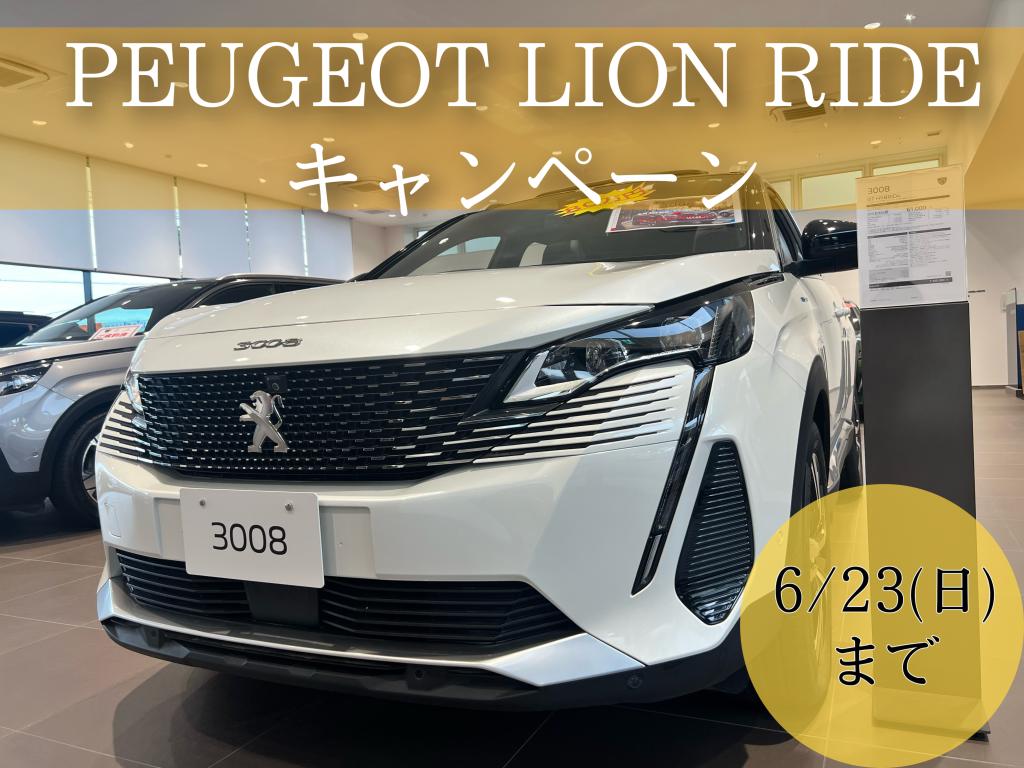 °˖✧LION RIDE　キャンペーン✧˖°
