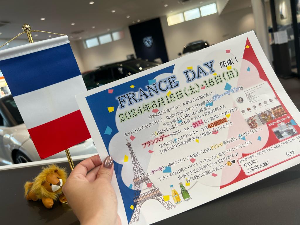 °˖✧フランスデー✧˖°