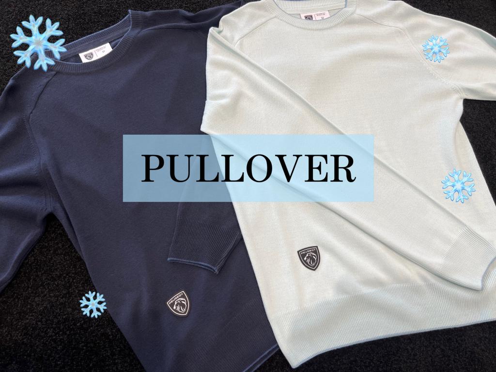 °˖✧PULLOVER✧˖°